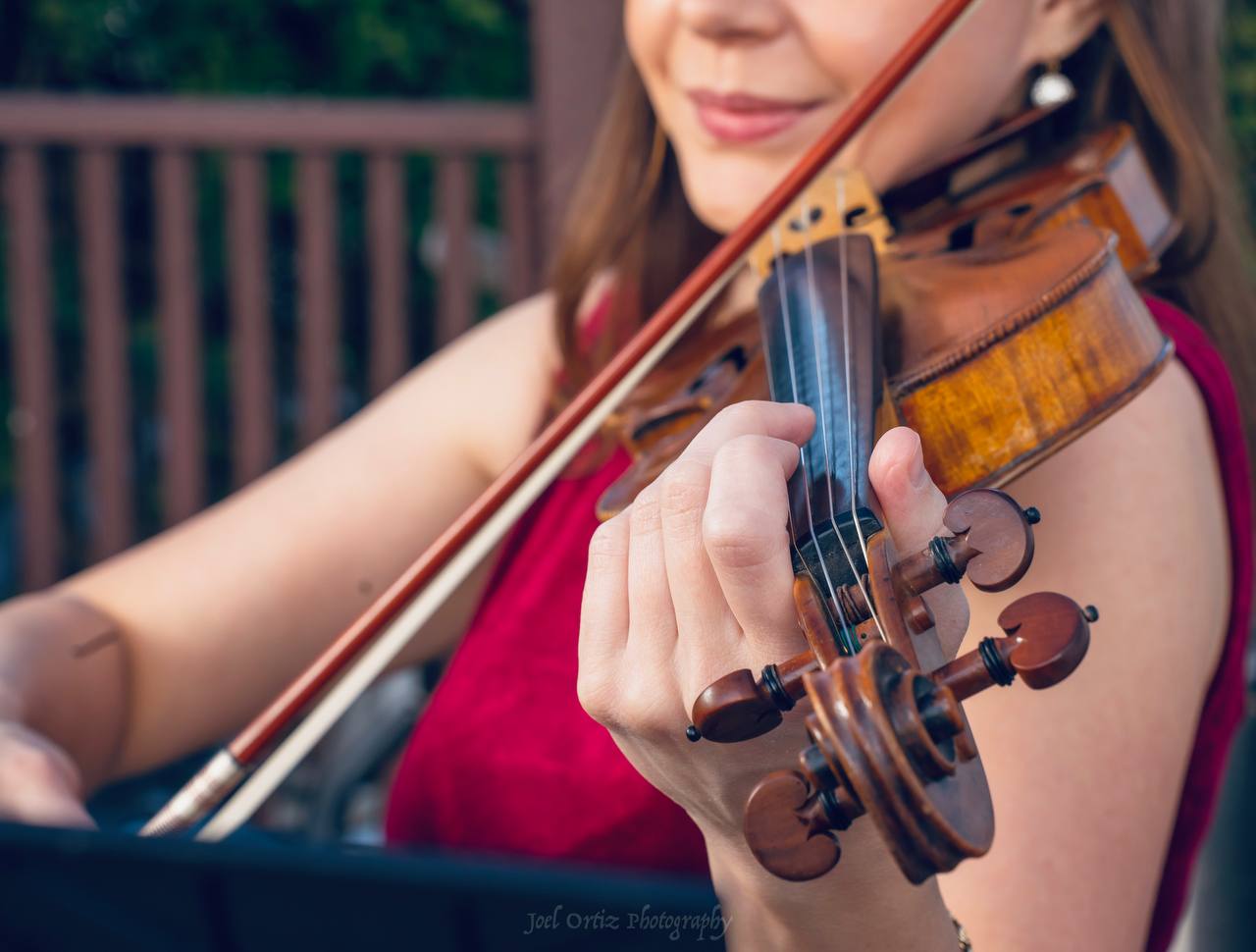 Julia Studio - Photo 3